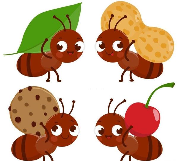 عکس سوسک کوچولو موچولو