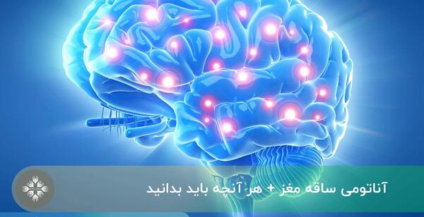 عکس سیاه سفید قلب و مغز