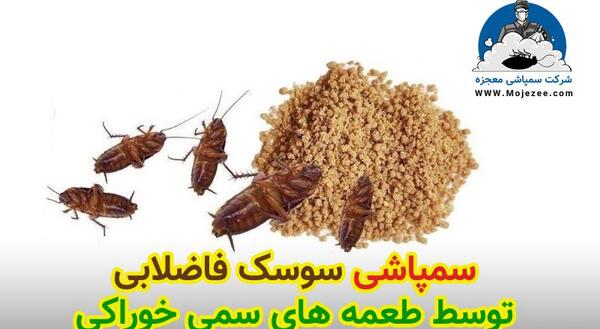 عکس سوسک های فاضلابی
