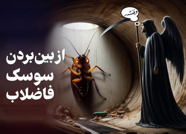 عکس سوسک های فاضلابی