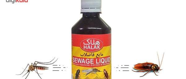 عکس سوسک در فاضلاب