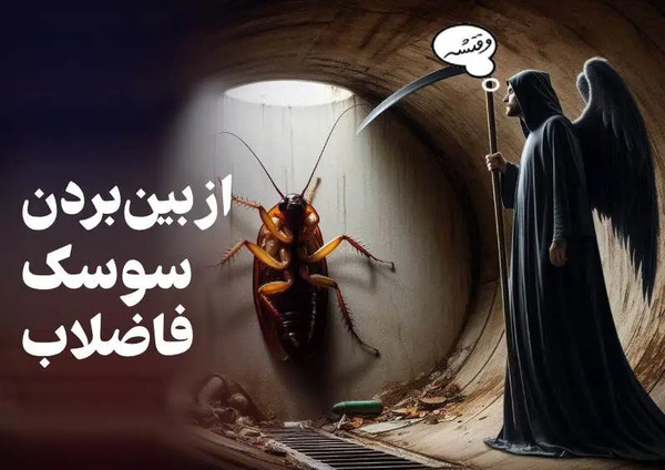 عکس سوسک در فاضلاب