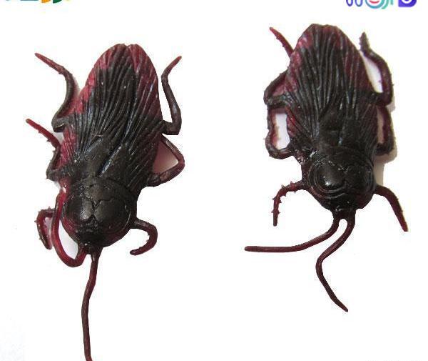 عکس سوسک مرد عنکبوتی