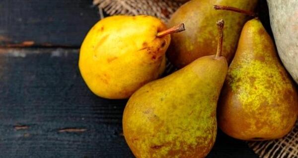 عکس سیاه سفید گلابی