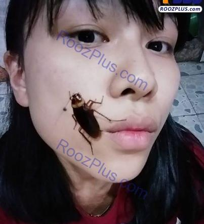 عکس خوردن سوسک زنده