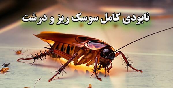 عکس سوسک ریز کابینتی