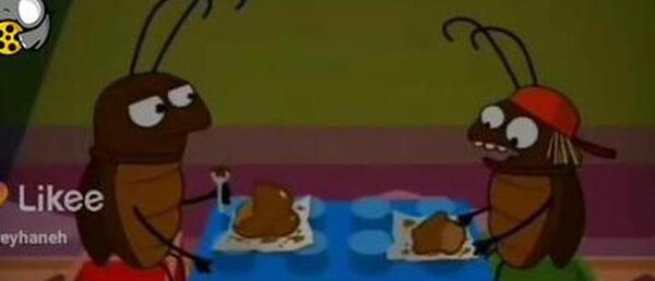 دانلود عکس سوسک خنده دار