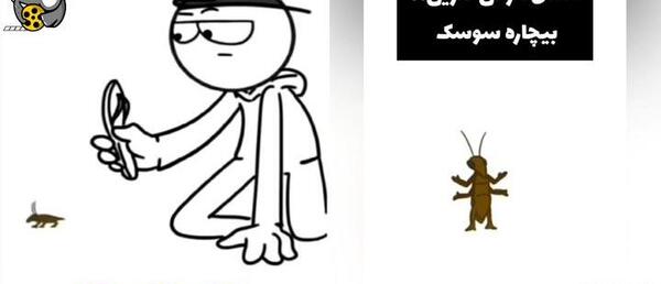 حشره طنز عکس سوسک خنده دار