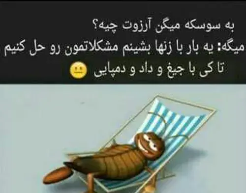 حشره طنز عکس سوسک خنده دار