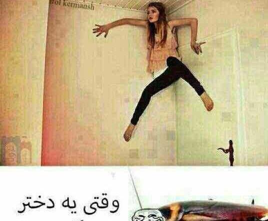 حشره طنز عکس سوسک خنده دار