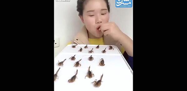 عکس خنده دار از سوسک