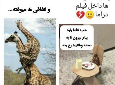 عکس خنده دار از سوسک
