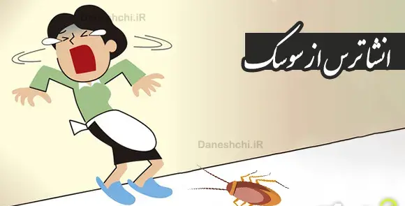 عکس خنده دار از سوسک