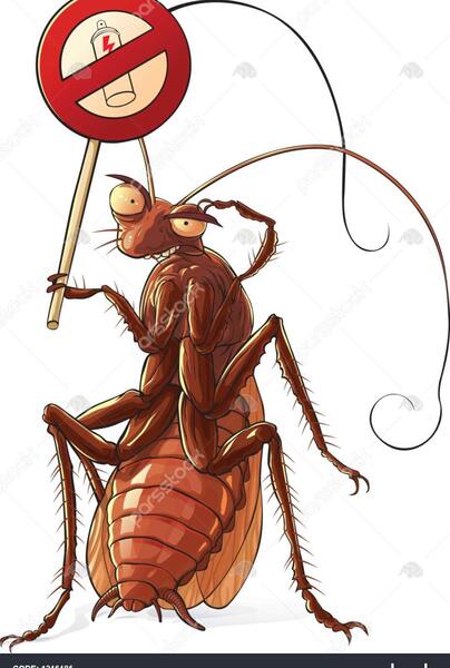 عکس حیوان سوسک