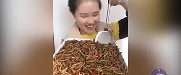 عکس چینی سوسک خور
