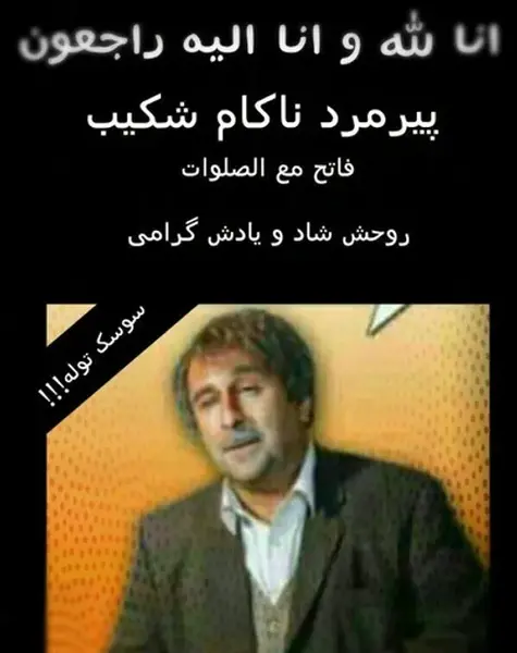 عکس شکیب سوسک توله