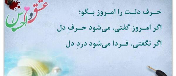 عکس شکیب سوسک توله