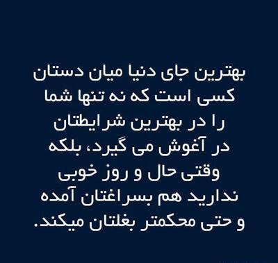 عکس شکیب سوسک توله