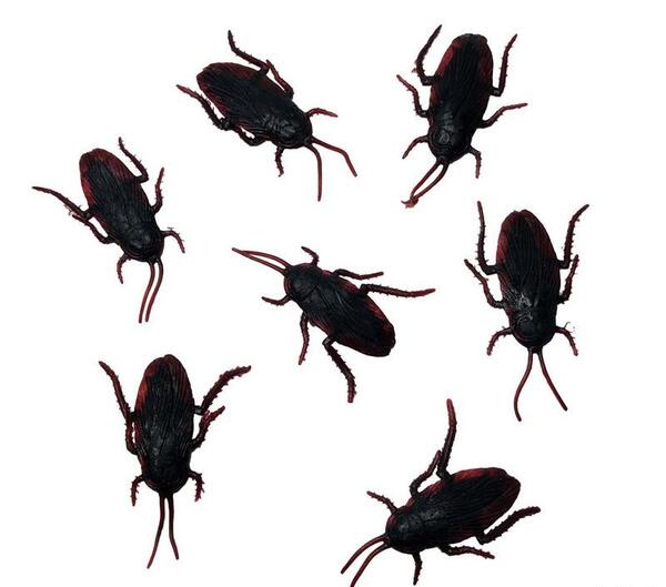 عکس سوسک پلاستیکی کنترلی