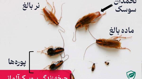 عکس سوسک کابینت ام دی اف