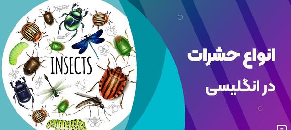 عکس از بچه سوسک
