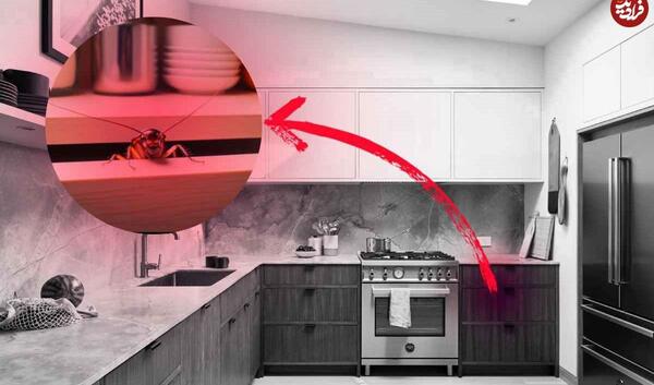 عکس سوسک کابینت ریز