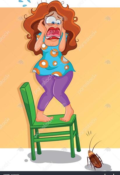 عکس های سوسک های ترسناک