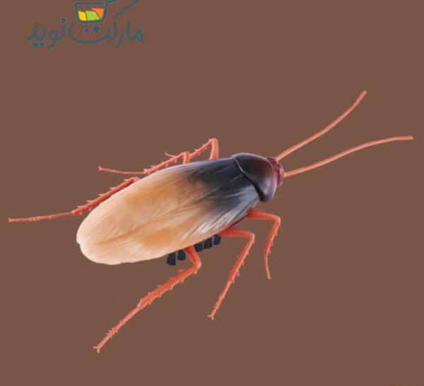 عکس اسباب بازی سوسک آبی