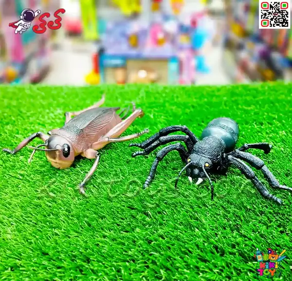 عکس اسباب بازی سوسک پلاستیکی