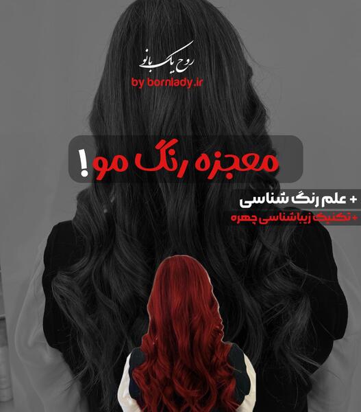 عکس موی سوسکی