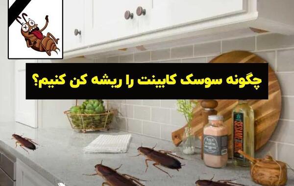 عکس سم سوسک کابینت