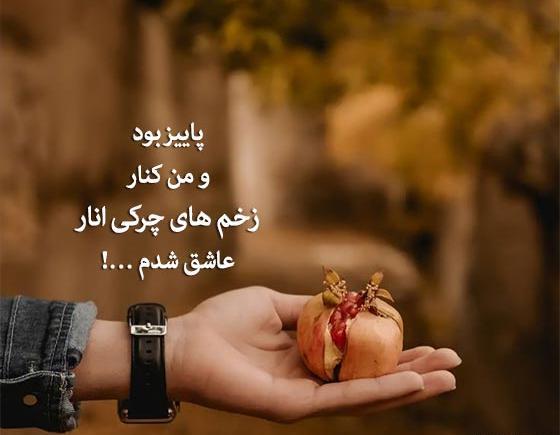 عکس نوشته ساده نیستم