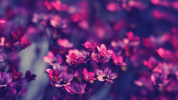 عکس ساده برای صفحه دسکتاپ