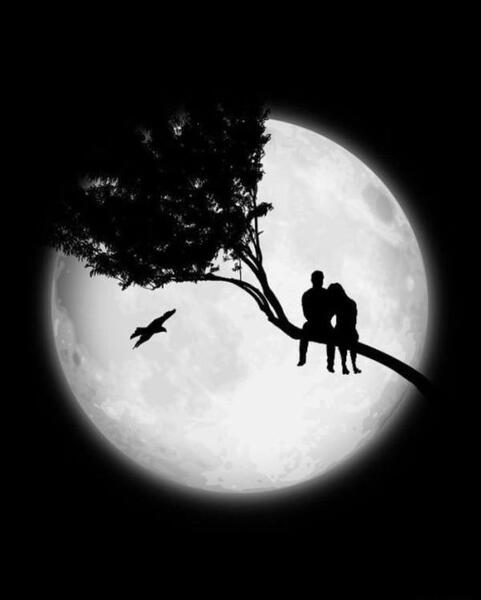عکس سیاه و سفید ماه