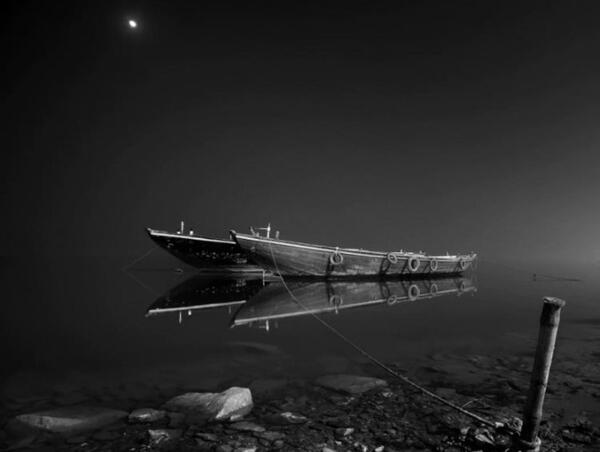 عکس سیاه و سفید ماهی