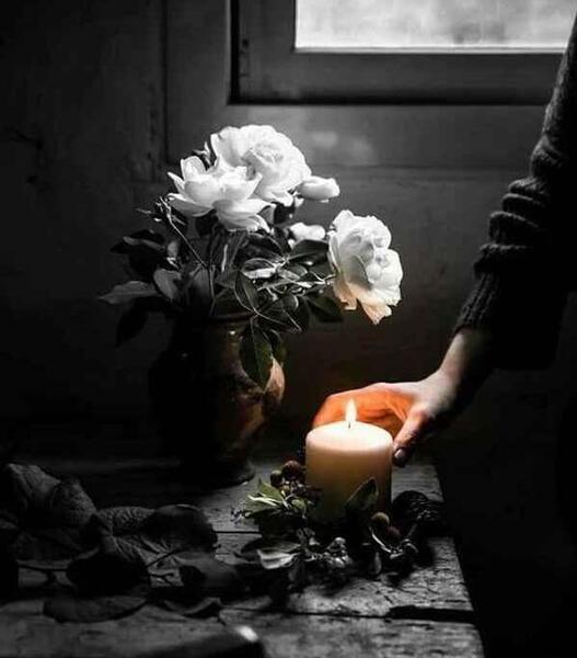 دانلود عکس گل سیاه برای تسلیت