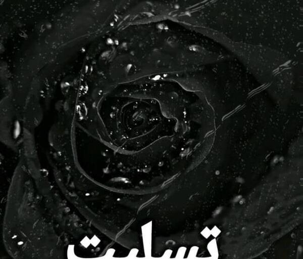 دانلود عکس گل سیاه برای تسلیت