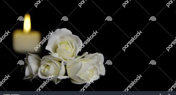 دانلود عکس گل سیاه برای تسلیت