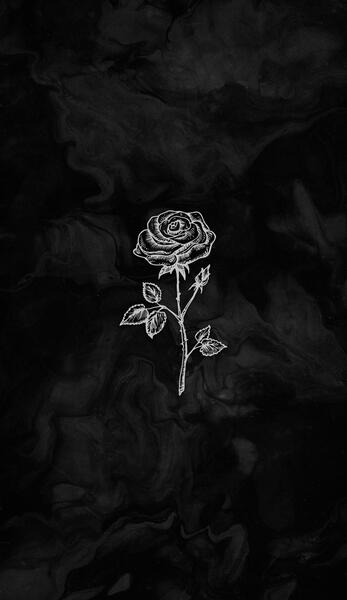 عکس سیاه و سفید نقاشی