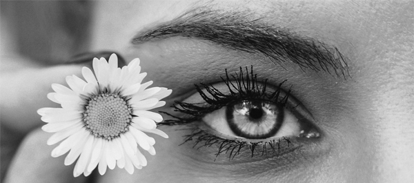 چگونه یک عکس را سیاه و سفید کنیم