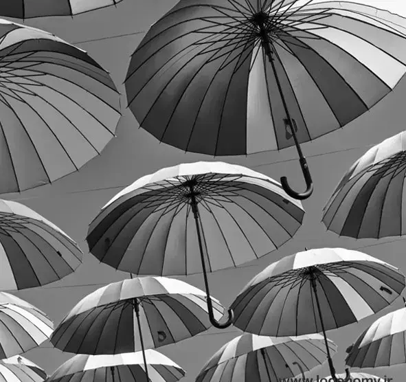 چگونه یک عکس را سیاه و سفید کنیم