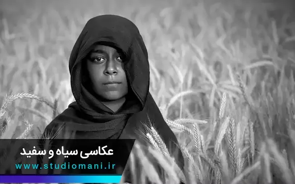 تبدیل عکس سیاه و سفید به رنگی با هوش مصنوعی