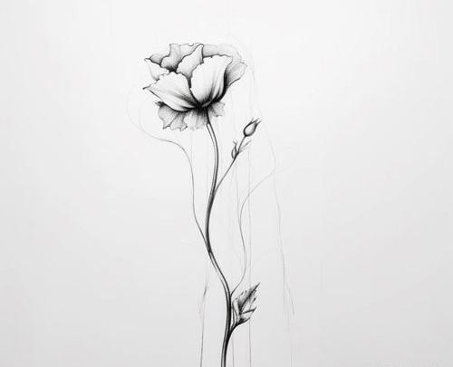 عکس سیاه سفید از گل