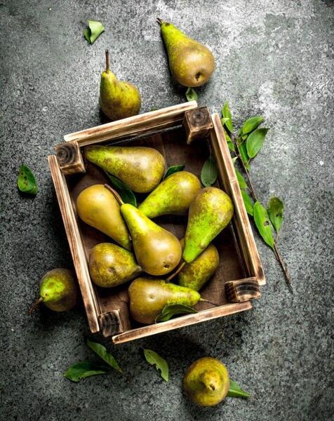 عکس سیاه و سفید گلابی