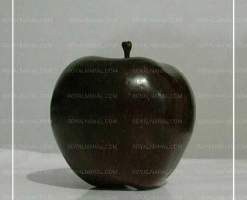 عکس سیاه و سفید گلابی