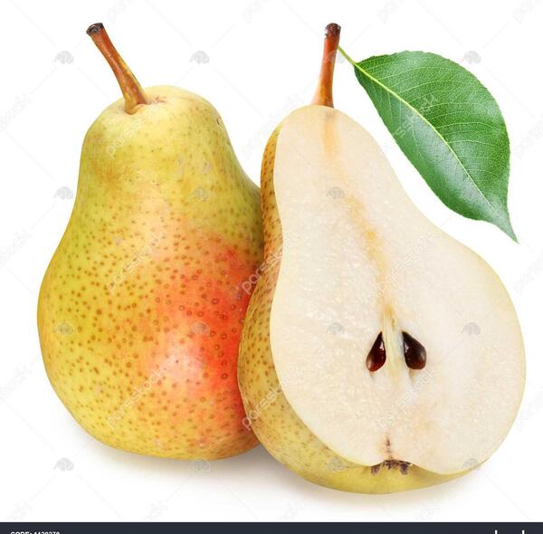 عکس سیاه و سفید گلابی