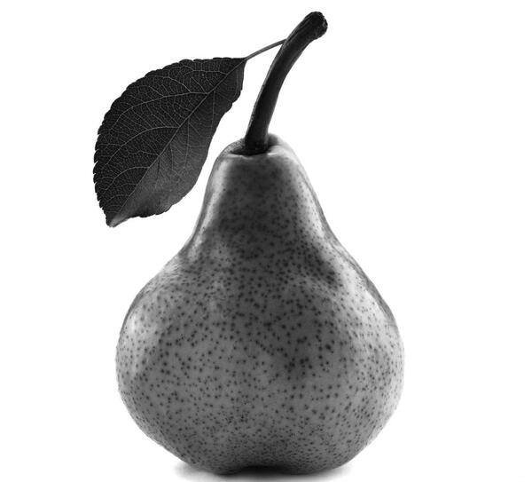 عکس سیاه و سفید گلابی
