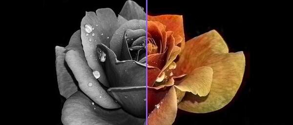 چجوری عکس سیاه سفید رو رنگی کنیم