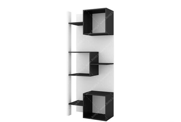 عکس کتابخانه سیاه و سفید