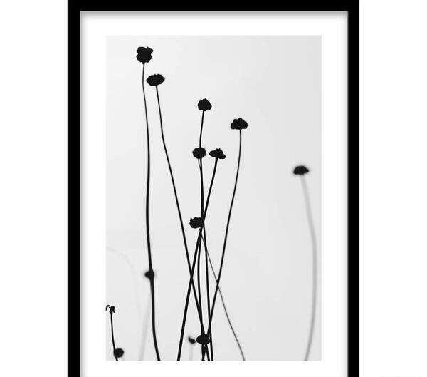 عکس ماشین کلاسیک سیاه سفید